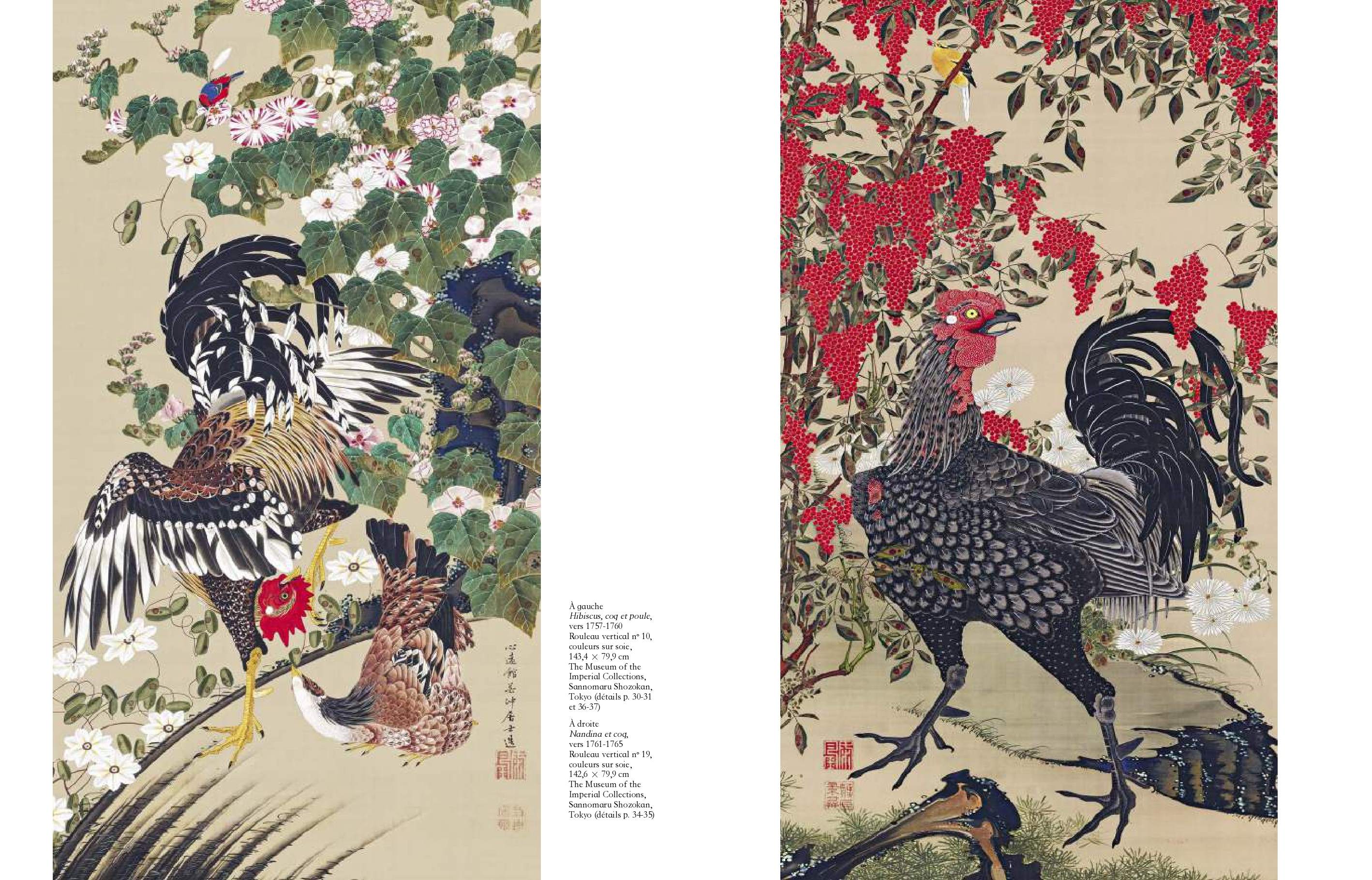 double page du livre : illustrations Hibiscus, coq et poule et Nadina et coq