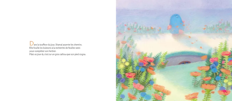 extrait de l'album Shamal et Bora la bourrasque