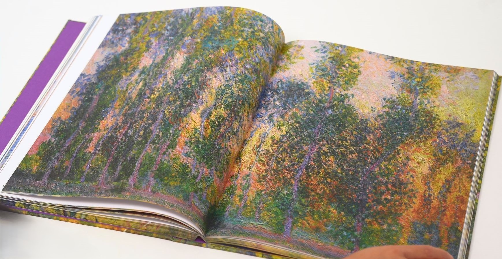 double page du livre ouverte